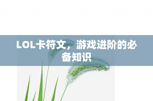 LOL卡符文，游戏进阶的必备知识