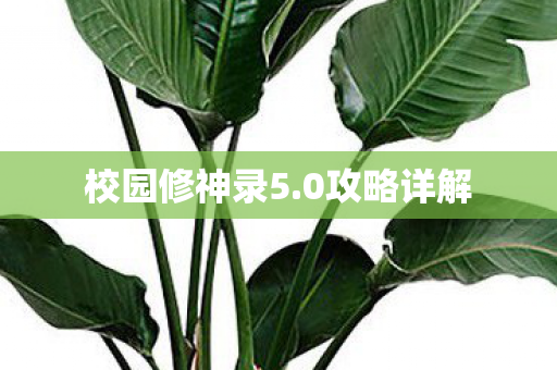 校园修神录5.0攻略详解 校园修神录5.0攻略详解