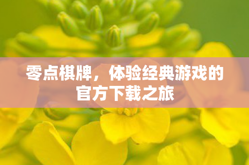 零点棋牌,体验经典游戏的官方下载之旅 零点棋牌,体验经典游戏的官方下载之旅