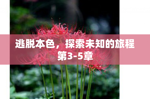 逃脱本色,探索未知的旅程第3-5章 逃脱本色,探索未知的旅程第3-5章