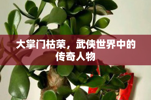 大掌门枯荣,武侠世界中的传奇人物 大掌门枯荣,武侠世界中的传奇人物