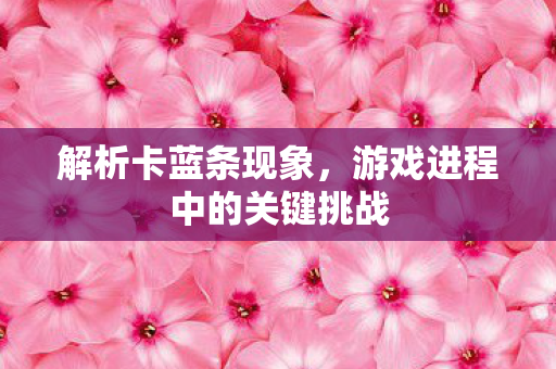 解析卡蓝条现象,游戏进程中的关键挑战 解析卡蓝条现象,游戏进程中的关键挑战