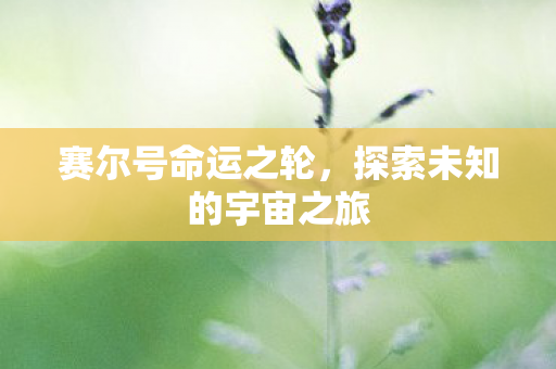 赛尔号命运之轮,探索未知的宇宙之旅 赛尔号命运之轮,探索未知的宇宙之旅