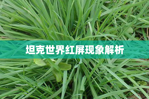坦克世界红屏现象解析 坦克世界红屏现象解析