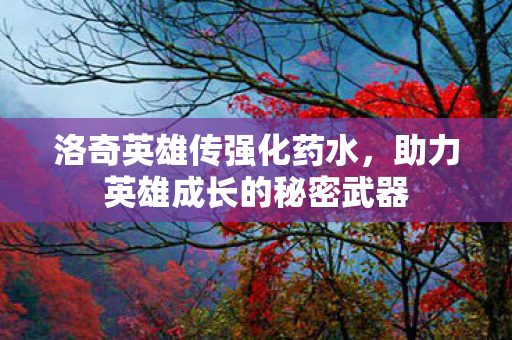 洛奇英雄传强化药水,助力英雄成长的秘密武器 洛奇英雄传强化药水,助力英雄成长的秘密武器