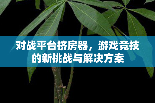对战平台挤房器,游戏竞技的新挑战与解决方案 对战平台挤房器,游戏竞技的新挑战与解决方案