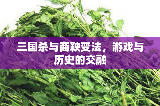 三国杀与商鞅变法，游戏与历史的交融