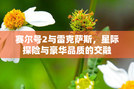 赛尔号2与雷克萨斯，星际探险与豪华品质的交融