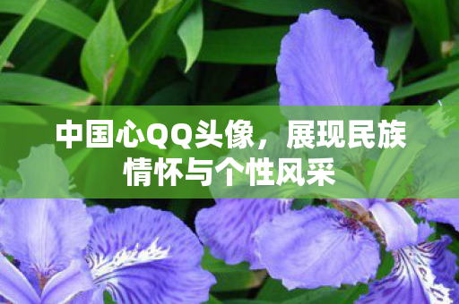 中国心QQ头像,展现民族情怀与个性风采 中国心QQ头像,展现民族情怀与个性风采