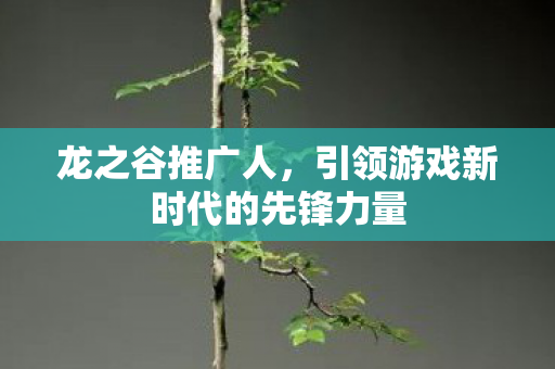 龙之谷推广人,引领游戏新时代的先锋力量 龙之谷推广人,引领游戏新时代的先锋力量