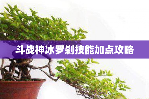 斗战神冰罗刹技能加点攻略 斗战神冰罗刹技能加点攻略