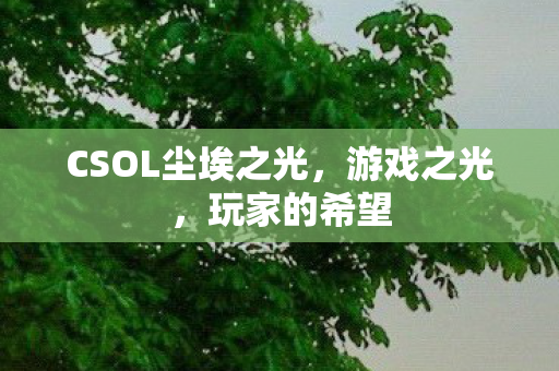 CSOL尘埃之光,游戏之光,玩家的希望 CSOL尘埃之光,游戏之光,玩家的希望