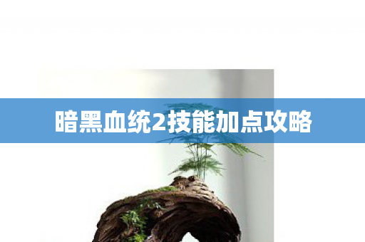 暗黑血统2技能加点攻略 暗黑血统2技能加点攻略