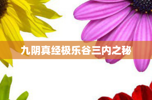 九阴真经极乐谷三内之秘 九阴真经极乐谷三内之秘