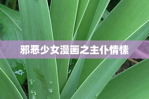 邪恶少女漫画之主仆情愫 邪恶少女漫画之主仆情愫