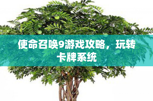使命召唤9游戏攻略,玩转卡牌系统 使命召唤9游戏攻略,玩转卡牌系统