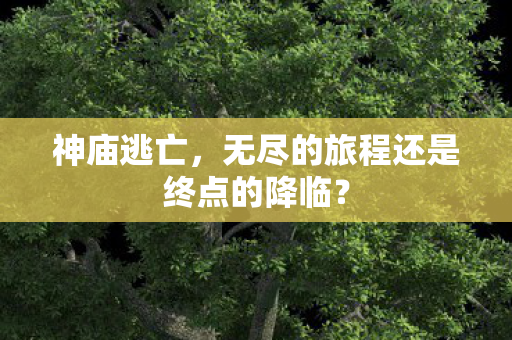 神庙逃亡，无尽的旅程还是终点的降临？