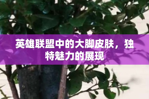 英雄联盟中的大脚皮肤,独特魅力的展现 英雄联盟中的大脚皮肤,独特魅力的展现