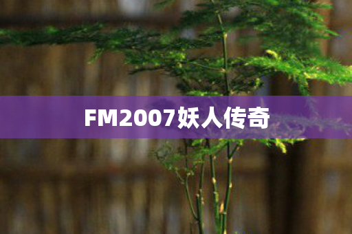 FM2007妖人传奇 FM2007妖人传奇