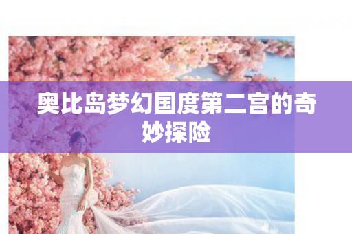 奥比岛梦幻国度第二宫的奇妙探险 奥比岛梦幻国度第二宫的奇妙探险