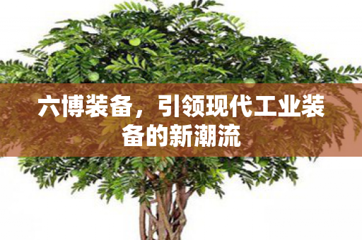 六博装备，引领现代工业装备的新潮流