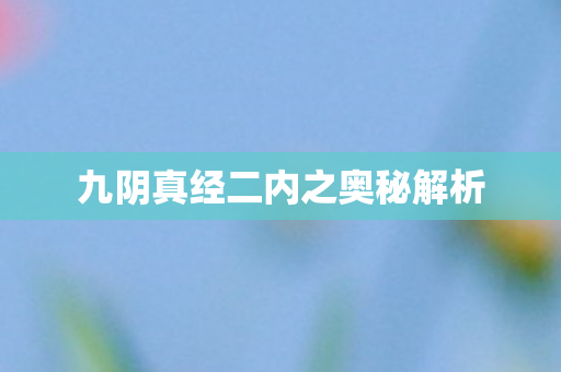 九阴真经二内之奥秘解析 九阴真经二内之奥秘解析