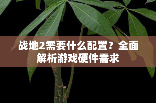 战地2需要什么配置?全面解析游戏硬件需求 战地2需要什么配置?全面解析游戏硬件需求