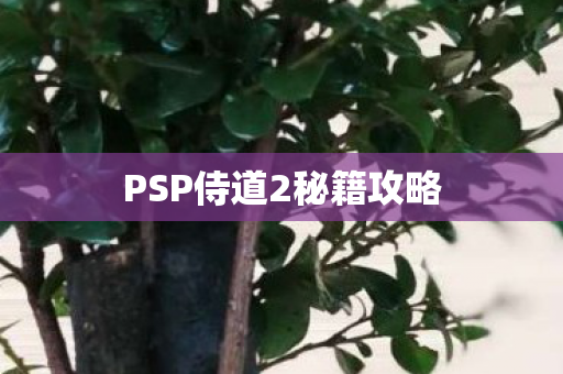 PSP侍道2秘籍攻略 PSP侍道2秘籍攻略