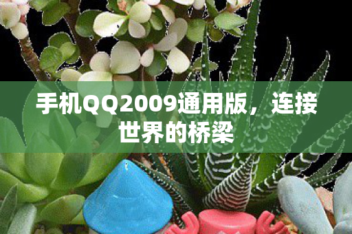 手机QQ2009通用版,连接世界的桥梁 手机QQ2009通用版,连接世界的桥梁