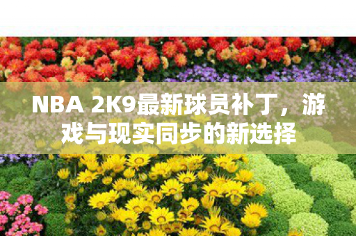 NBA 2K9最新球员补丁,游戏与现实同步的新选择 NBA 2K9最新球员补丁,游戏与现实同步的新选择