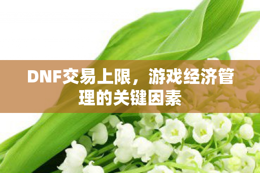 DNF交易上限，游戏经济管理的关键因素