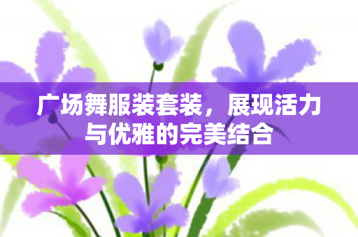 广场舞服装套装,展现活力与优雅的完美结合 广场舞服装套装,展现活力与优雅的完美结合