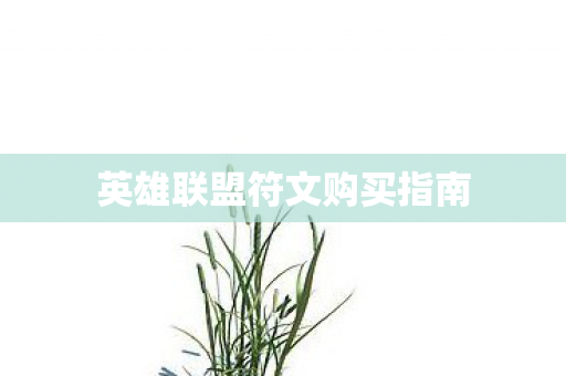 英雄联盟符文购买指南 英雄联盟符文购买指南