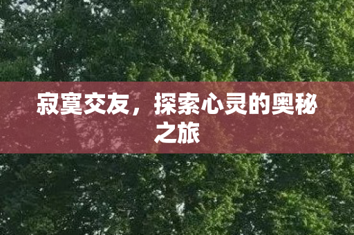 寂寞交友,探索心灵的奥秘之旅 寂寞交友,探索心灵的奥秘之旅