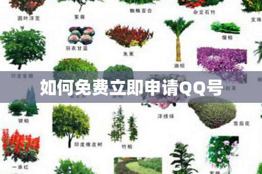 如何免费立即申请QQ号 如何免费立即申请QQ号