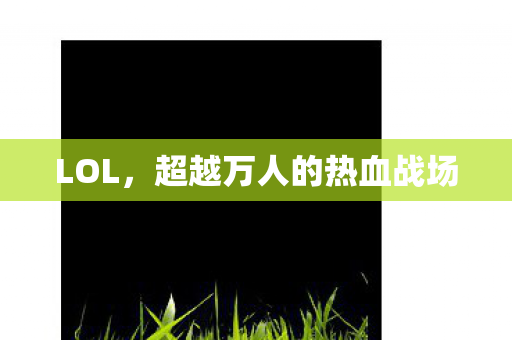 LOL,超越万人的热血战场 LOL,超越万人的热血战场