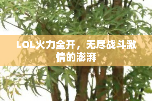 LOL火力全开,无尽战斗激情的澎湃 LOL火力全开,无尽战斗激情的澎湃