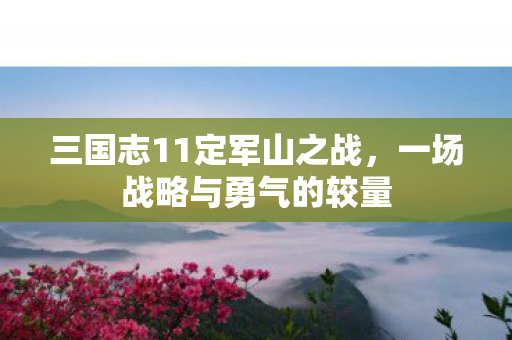 三国志11定军山之战,一场战略与勇气的较量 三国志11定军山之战,一场战略与勇气的较量