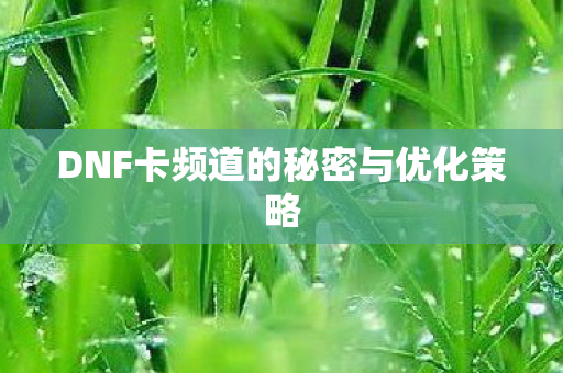 DNF卡频道的秘密与优化策略 DNF卡频道的秘密与优化策略