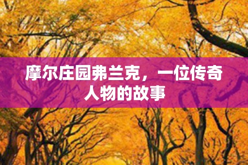 摩尔庄园弗兰克,一位传奇人物的故事 摩尔庄园弗兰克,一位传奇人物的故事