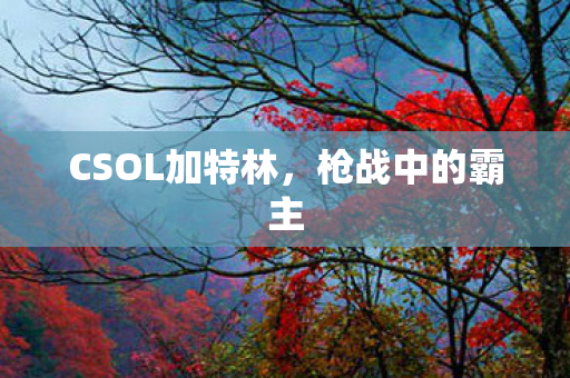 CSOL加特林,枪战中的霸主 CSOL加特林,枪战中的霸主