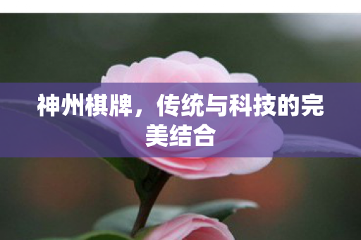 神州棋牌,传统与科技的完美结合 神州棋牌,传统与科技的完美结合