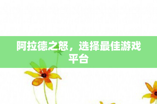 阿拉德之怒,选择最佳游戏平台 阿拉德之怒,选择最佳游戏平台