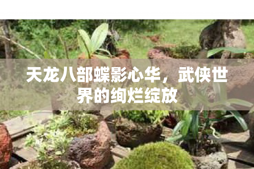 天龙八部蝶影心华,武侠世界的绚烂绽放 天龙八部蝶影心华,武侠世界的绚烂绽放