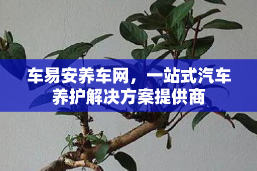 车易安养车网,一站式汽车养护解决方案提供商 车易安养车网,一站式汽车养护解决方案提供商