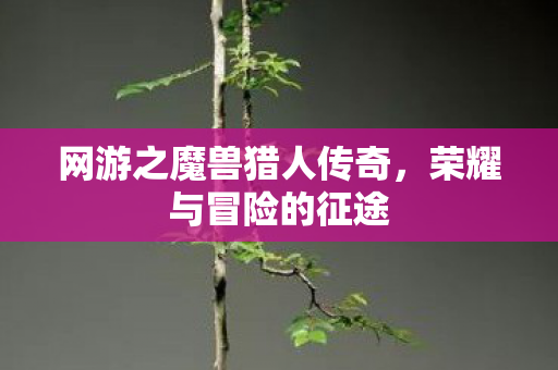 网游之魔兽猎人传奇,荣耀与冒险的征途 网游之魔兽猎人传奇,荣耀与冒险的征途