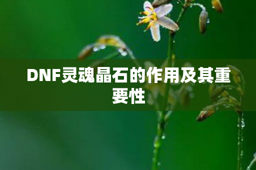 DNF灵魂晶石的作用及其重要性 DNF灵魂晶石的作用及其重要性