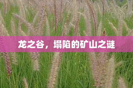 龙之谷，塌陷的矿山之谜