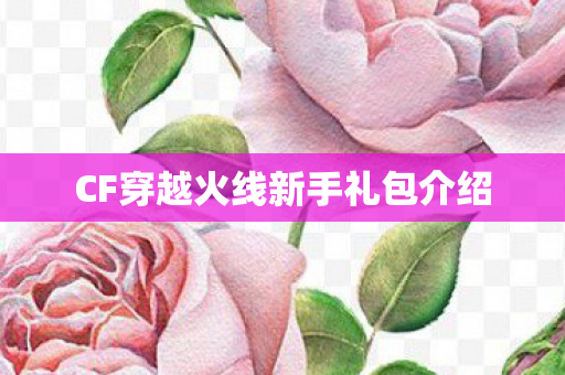 CF穿越火线新手礼包介绍 CF穿越火线新手礼包介绍