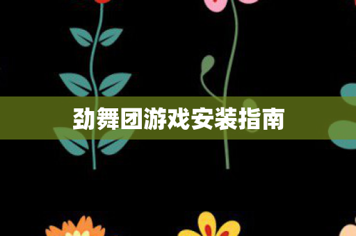 劲舞团游戏安装指南 劲舞团游戏安装指南